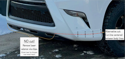 backPAC Bumper Filler & Radiator Guard, GX460 2014-2023